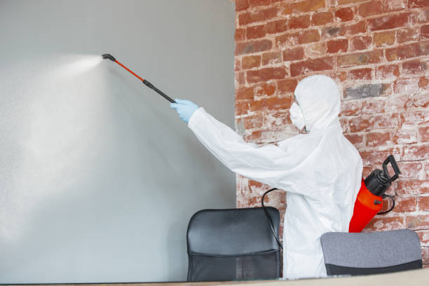 Best Black Mold Removal  in Clover Creek, WA