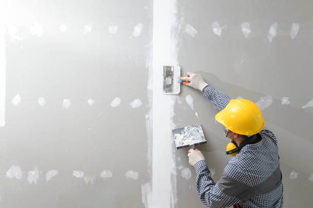 Best Mold Damage Restoration  in Clover Creek, WA