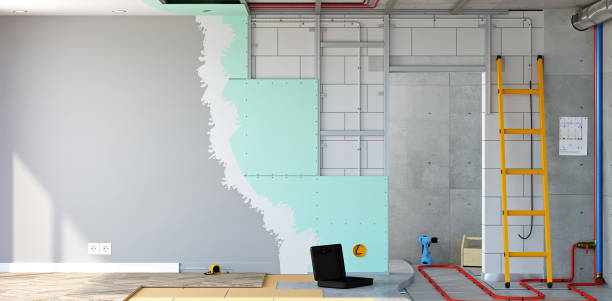 Best Basement Mold Removal  in Clover Creek, WA