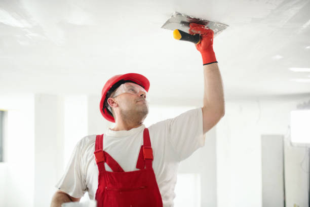 Professional Mold Removal in Clover Creek, WA