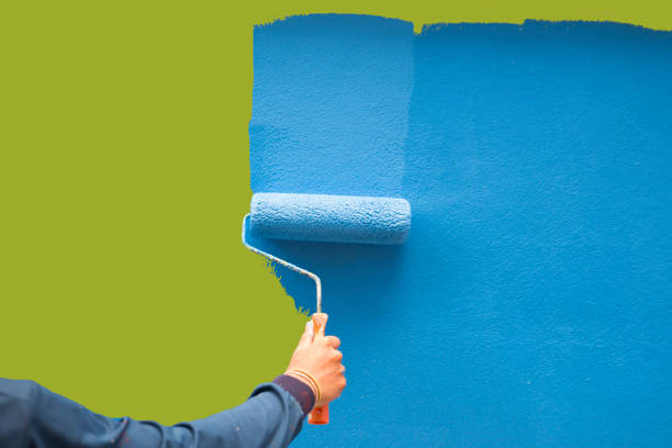 Clover Creek, WA Mold Removal Pros